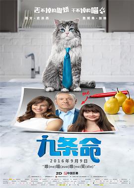 泳装派对